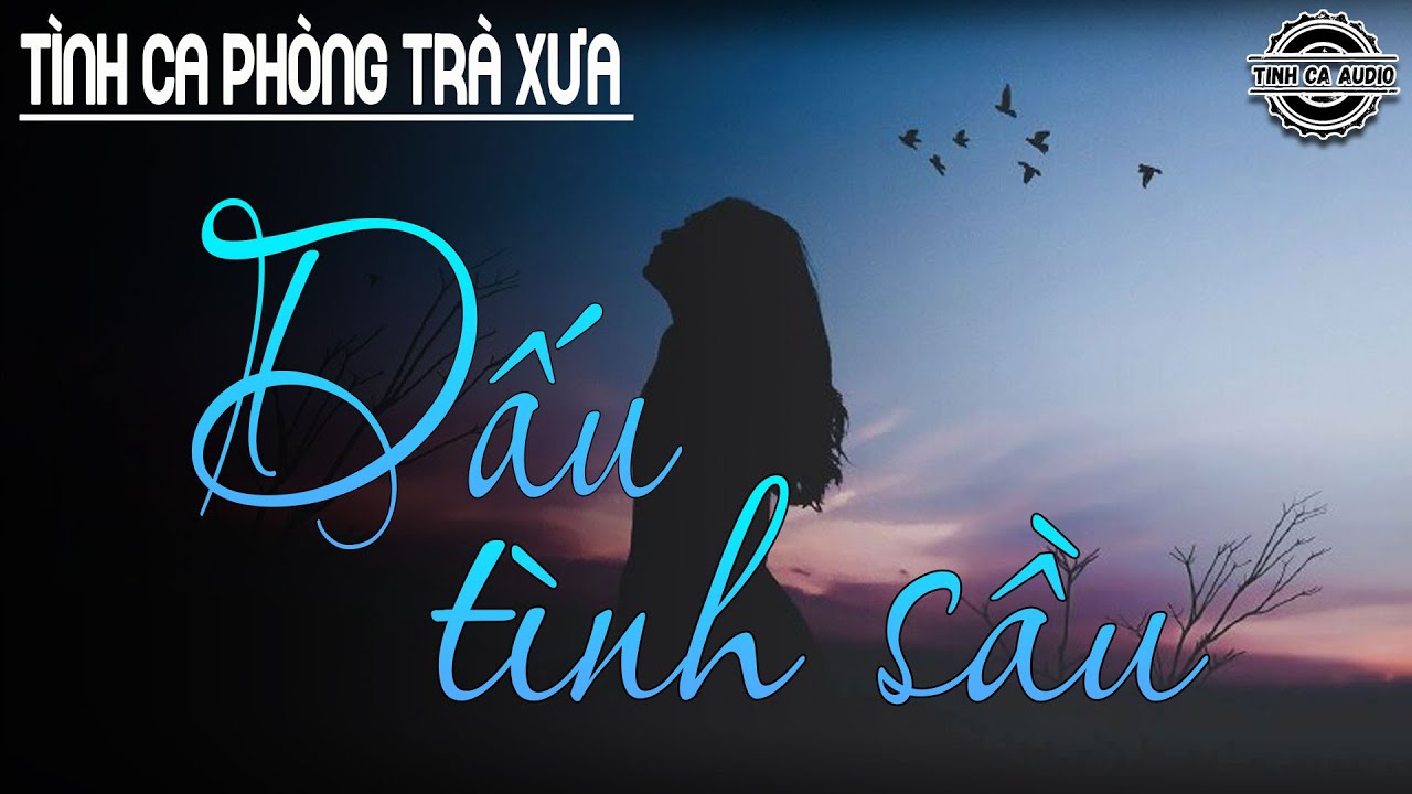 Dấu Tình Sầu - Quá Hay Cho Một Khúc Tình Ca Nhẹ Nhàng Sâu Lắng || Tình Ca Phòng Trà Xưa Bất Hủ