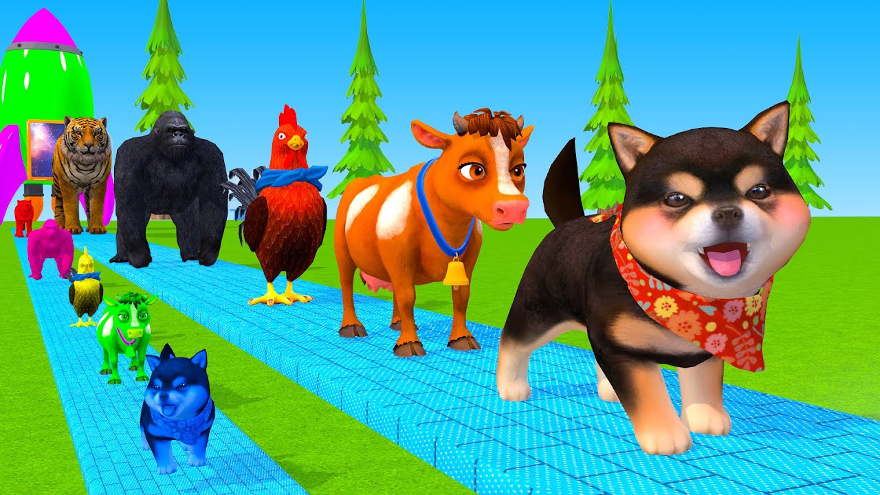 Long Slide Game With Cow Elephant Gorilla Hippopotamus Tiger 3d Animal Game Funny 3d Animals