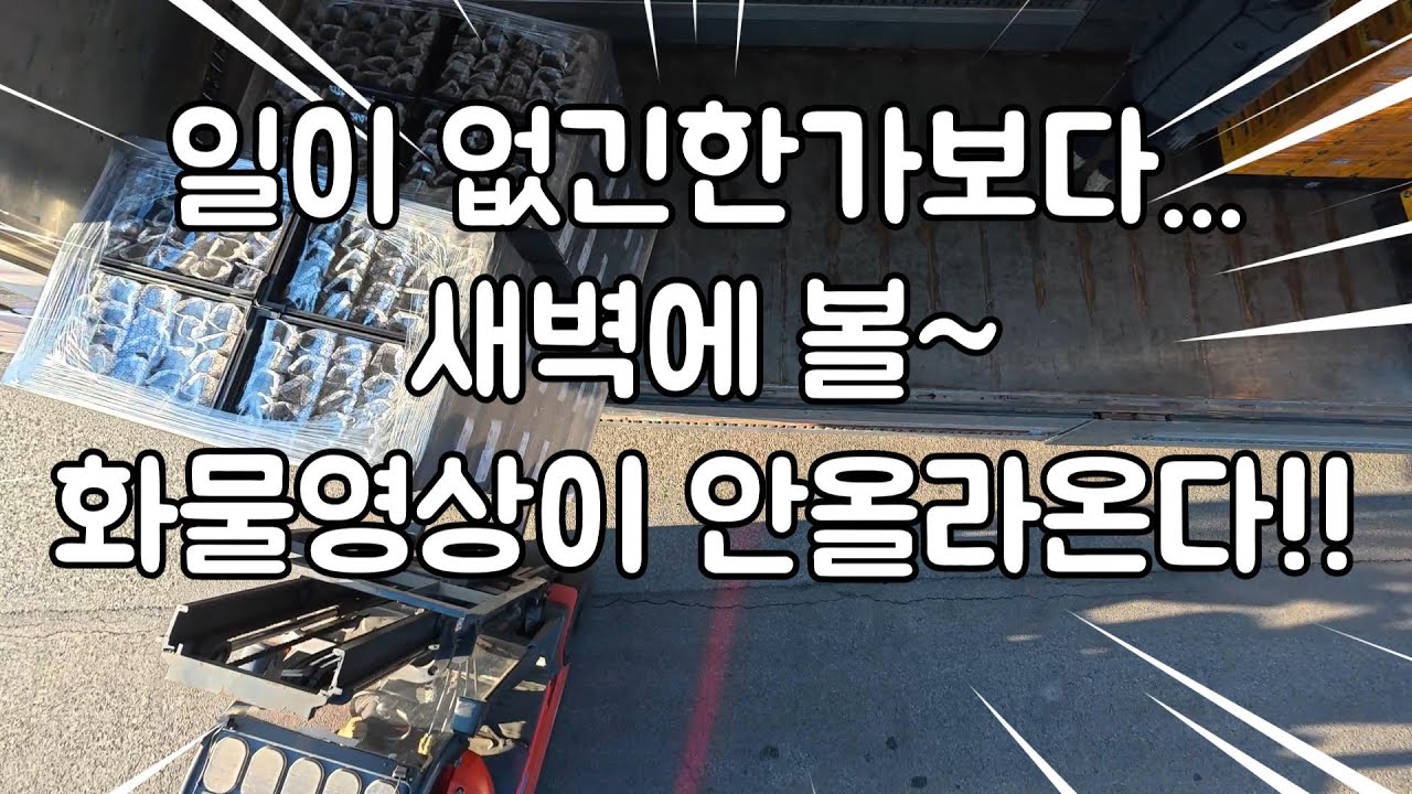 [화물로그] 오랫만에 동탄 나들이!! 일이 없어서인지 화물영상이 없어 혼술영상으로~ ㅎㅎ