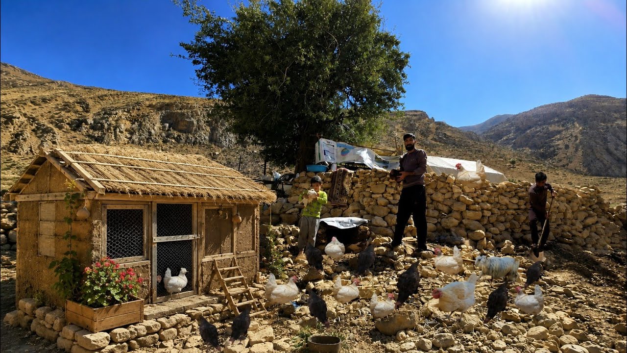 Real Nomadic Life in Iran's Zagros Mountains | Building a Traditional Chick Shelter