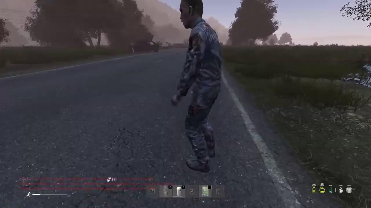 Just Some DayZ Nothing Fancy