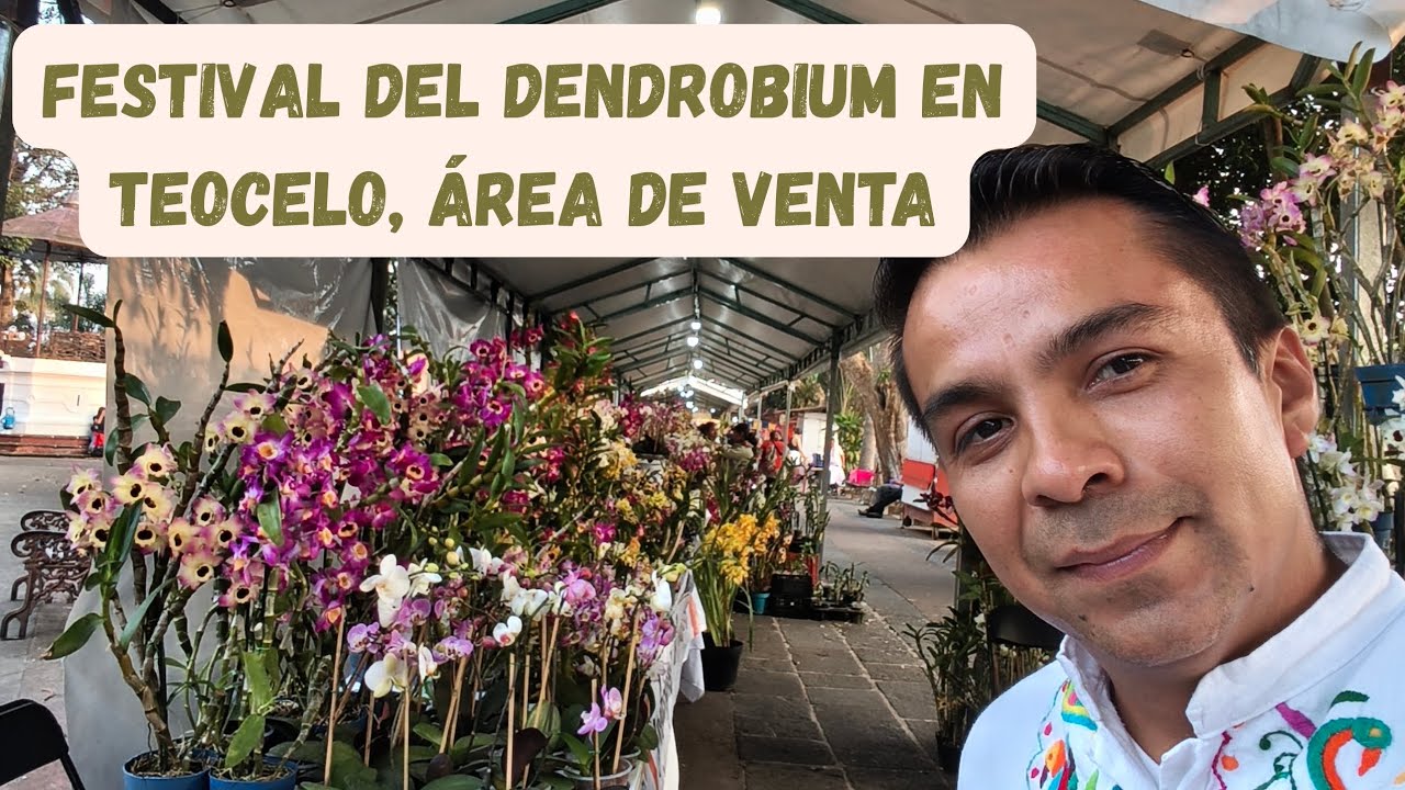 Festival del Dendrobium Nobile en Teocelo, Veracruz, &aacute;rea de venta.