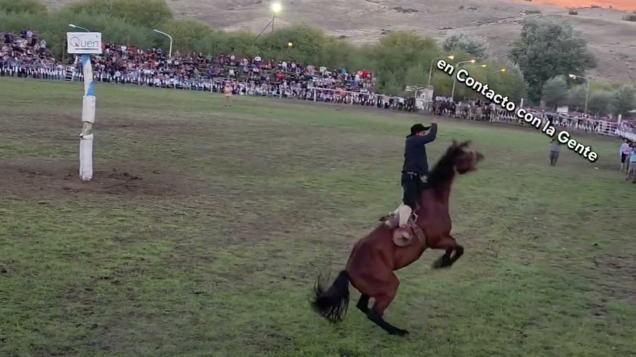 Fiesta Nacional del Puestero Junín de los Ande Especiales Kato Samacona, Brian Gomez y Ramón Córdoba