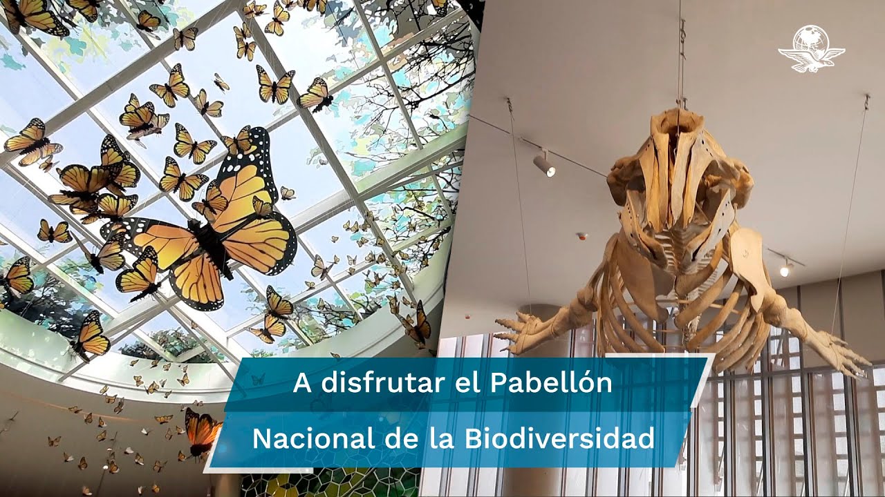 Anímate a recorrer el Pabellón Nacional de la Biodiversidad, un museo para romper mitos