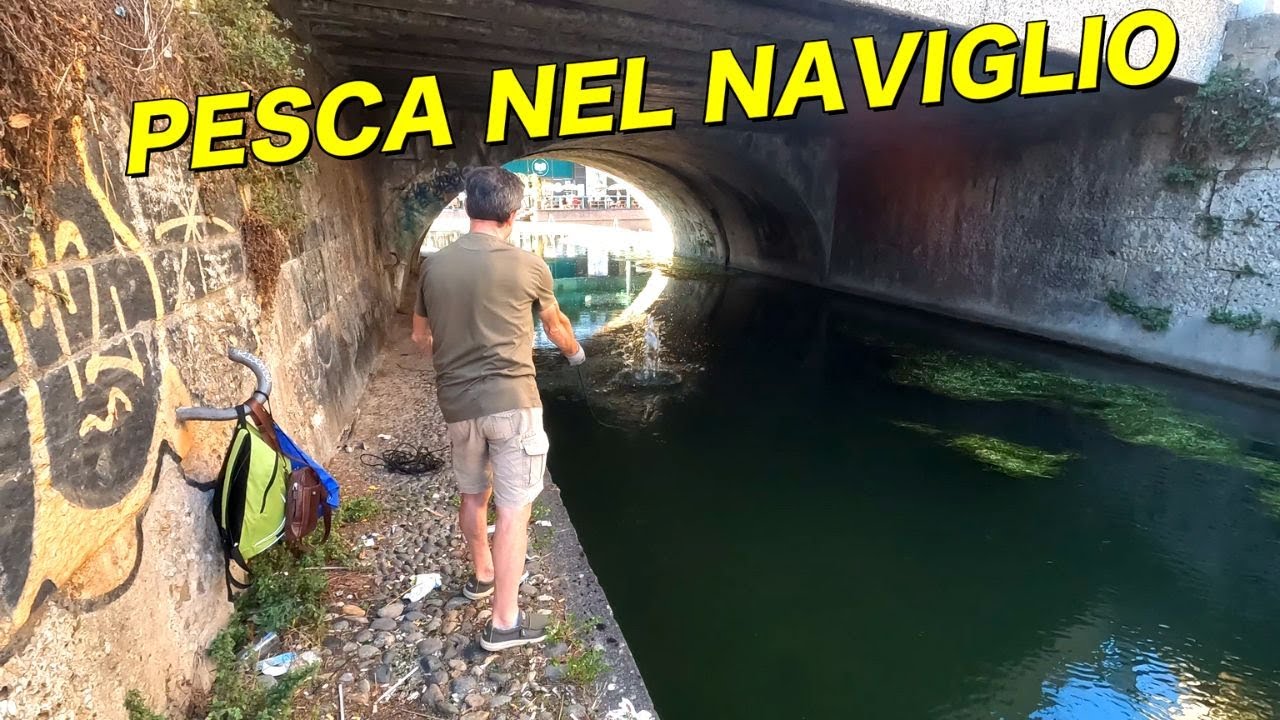 MAGNET  FISHING !!  VADO A PESCA  NEL NAVIGLIO