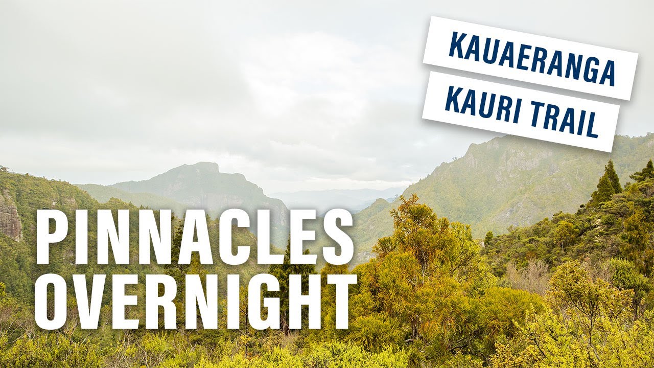 Tramping With My 60+ Yr Old Mum | Tramping for Seniors :: Pinnacles Hut Overnight Hike, Coromandel