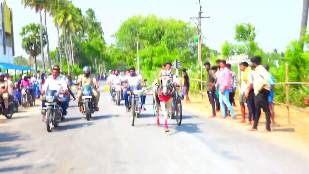 🛑LIVE குளித்தலை புதிய குதிரை  KSK REKLA