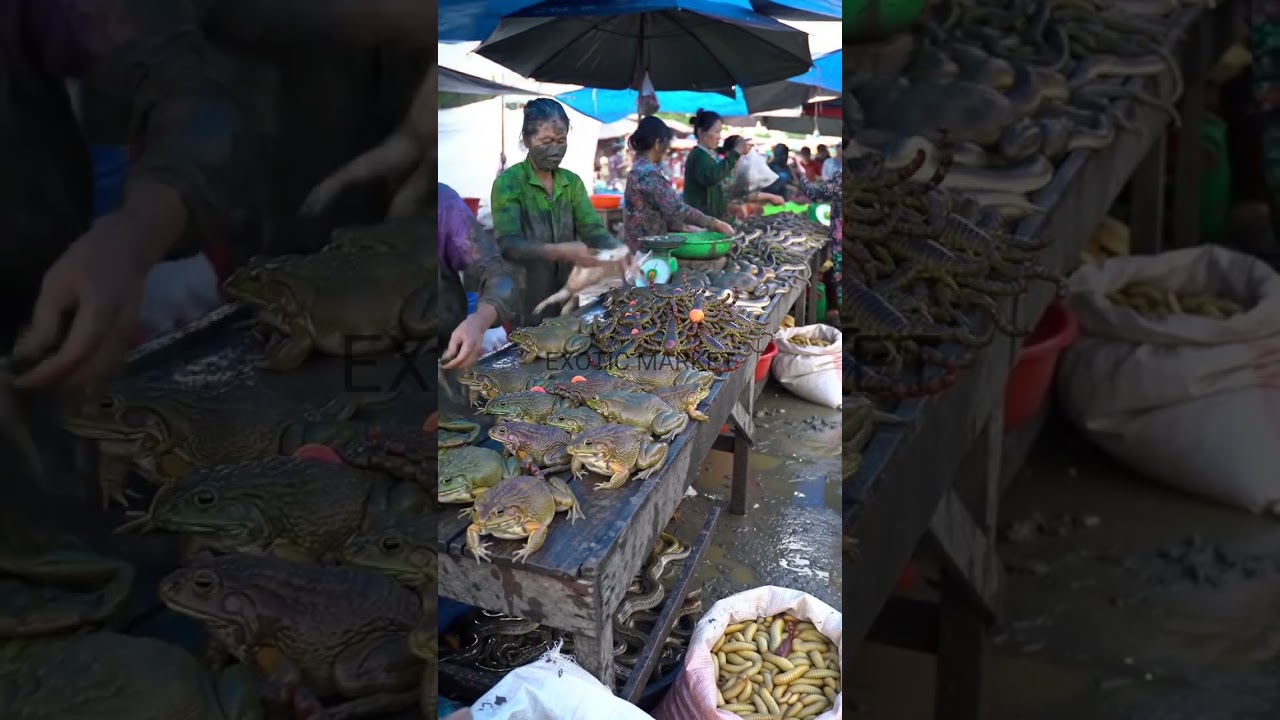 Traditional Market Atmosphere with Unique Animals@abuexotic-ai
