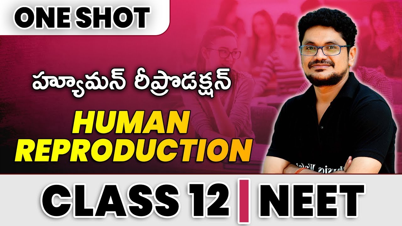 HUMAN REPRODUCTION  in 1 Shot - All Theories & PYQs Covered | Class 12 | NEET