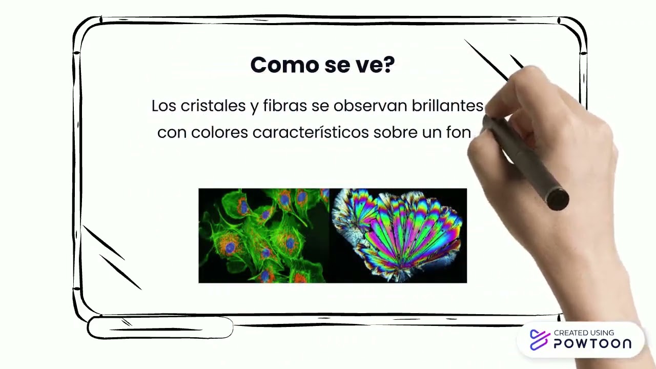 Microscopía Óptica- Grupo 1