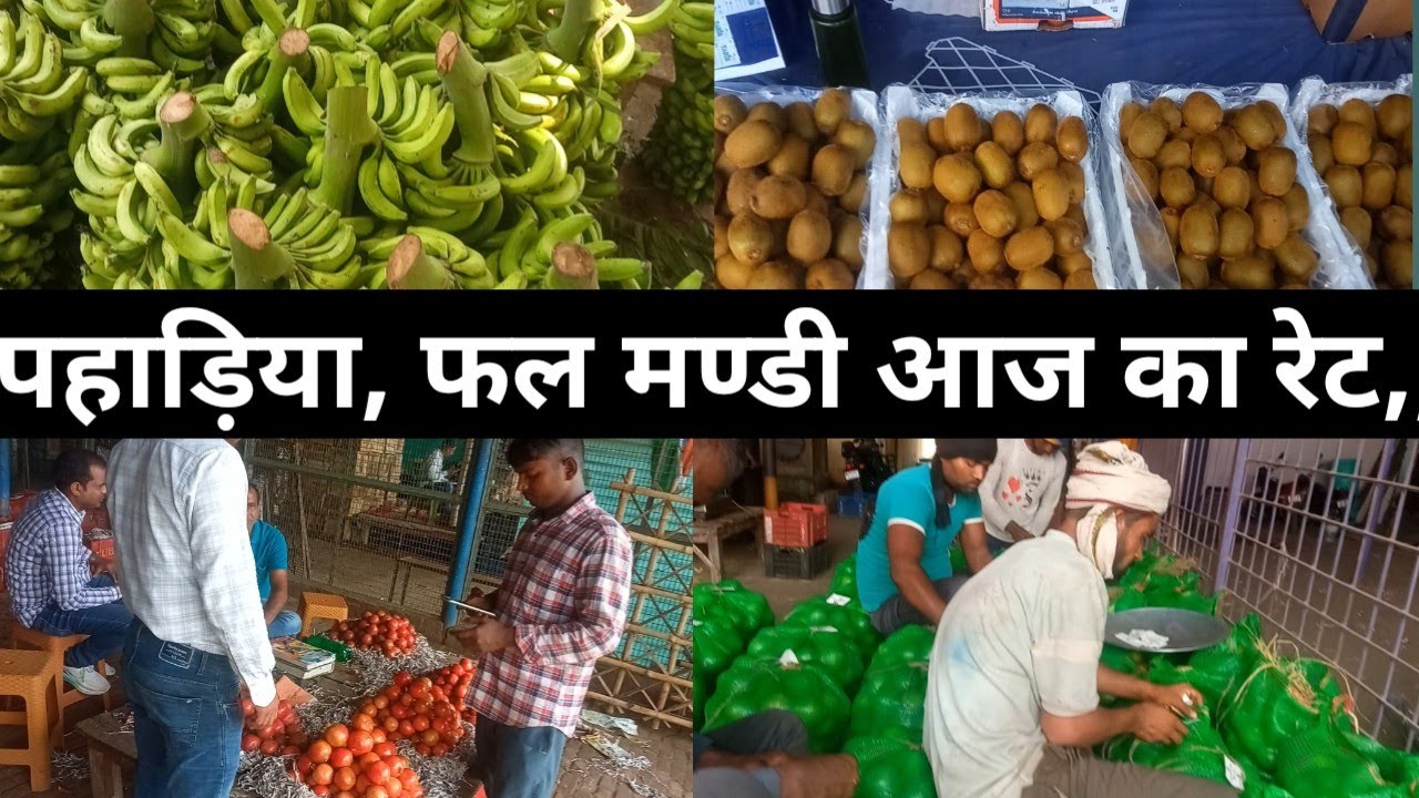 24 September 2024 फल का रेट आज का पहाड़िया मण्डी  ?