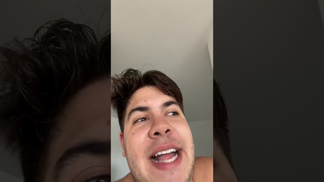 Uma pomba invadiu a casa de alvaro