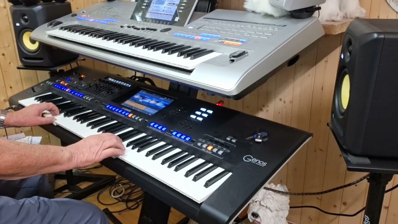 Beautiful Noise (Neil Diamond) [Genos]