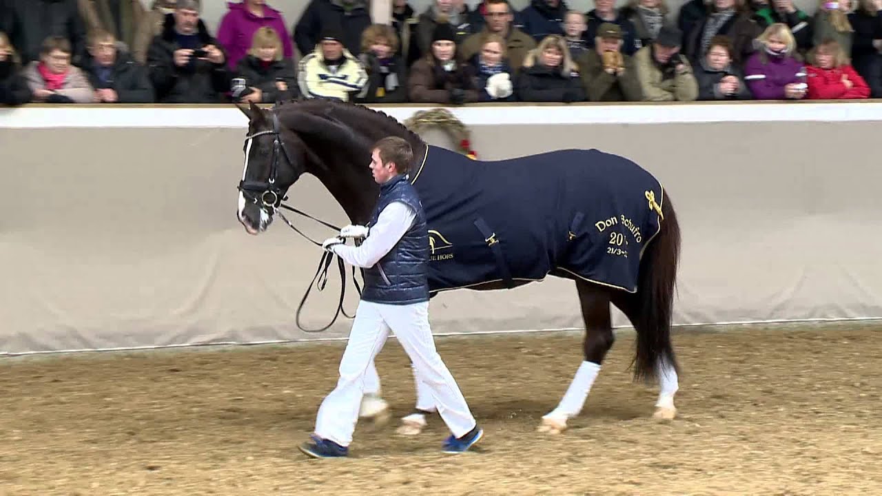 Don Schufro 2013