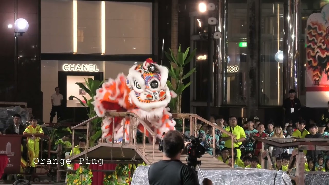 六巡三合廟龍獅團 Liuxun Dragon & Lion Dance Troupe