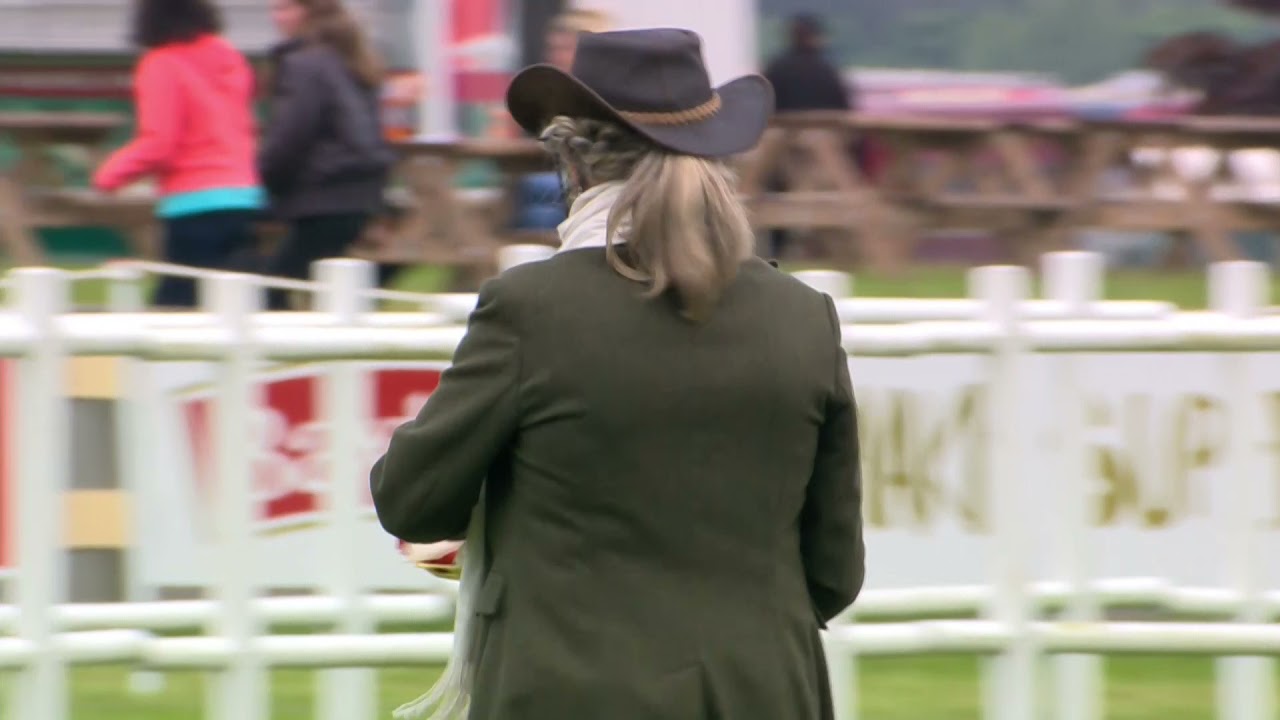 Royal Highland Showcase - Mixed Mountain and Moorland Junior Ridden