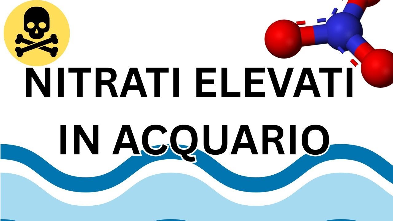 CAUSE E RIMEDI DEI NITRATI ELEVATI IN ACQUARIO