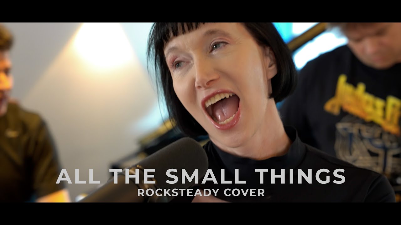 All the small things - Blink-182 |  Cover by ROCKSTEADY