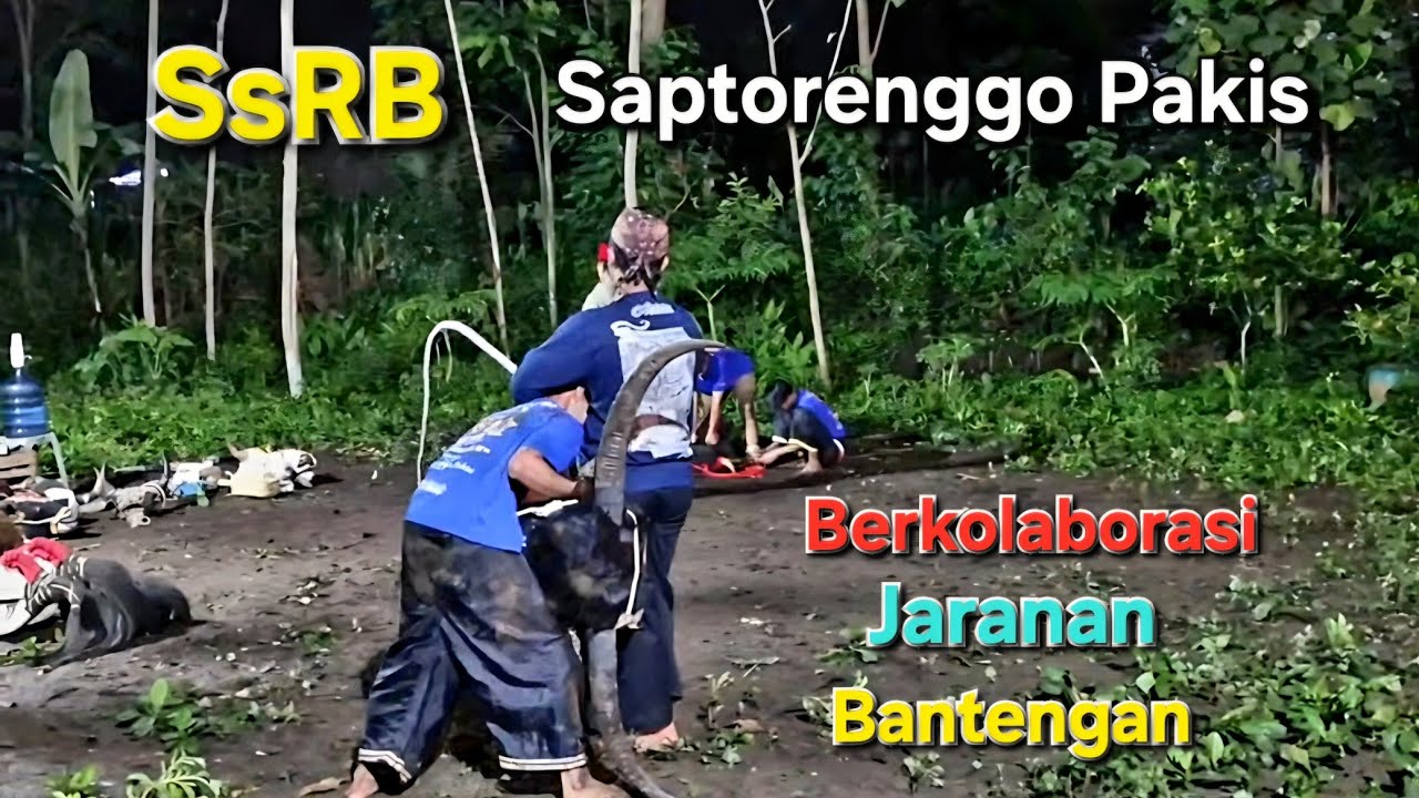 Bantengan SsRB SAPTO SEKAR RINGIN BUDOYO Ds Bulurejo Saptorenggo Kec Pakis Malang