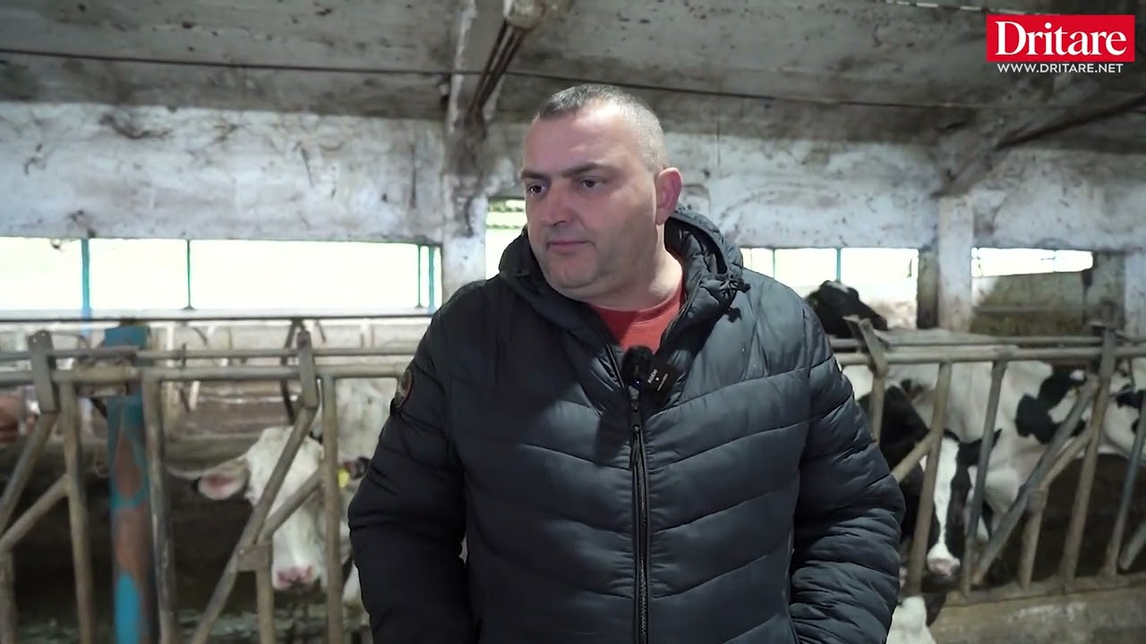 Historia e fermerit në Vilë Bashtovë: E mësova zanatin në Itali dhe u ktheva në tokat e mia