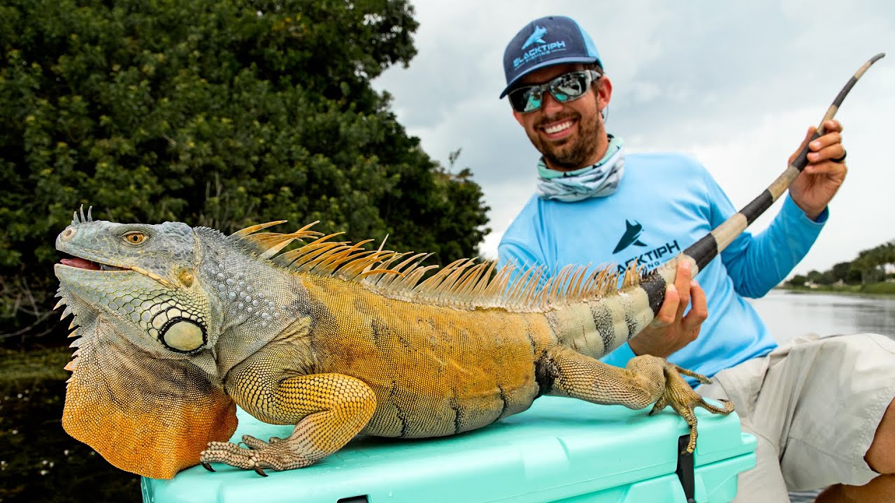 Caught a HUGE IGUANA while Canal Fishing!!
