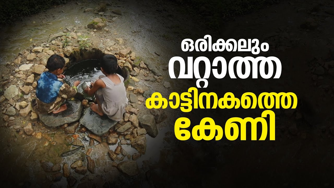 ഉറവവറ്റാതെ ആദിവാസി ഊരിലെ കേണി