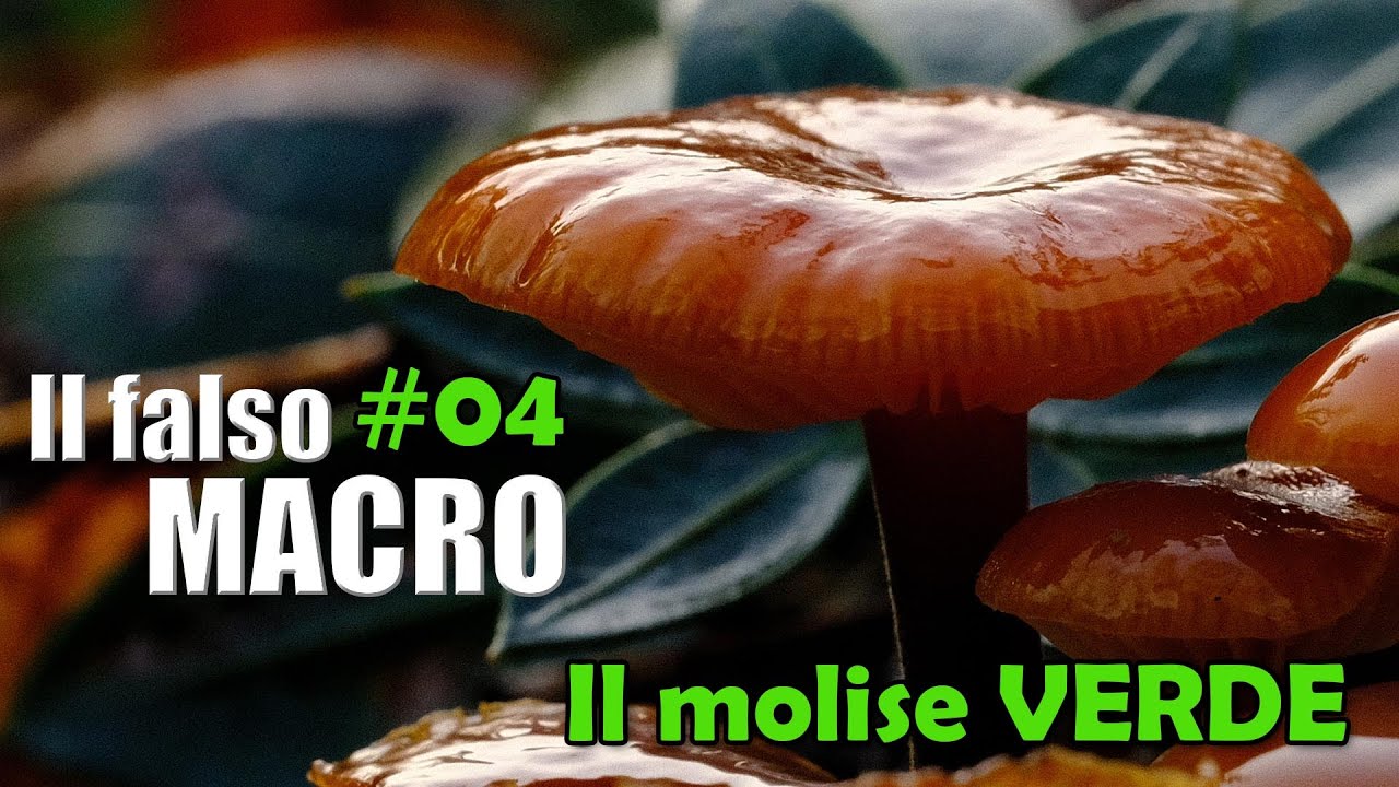 IL FALSO MACRO Ep.4 - Il Molise VERDE
