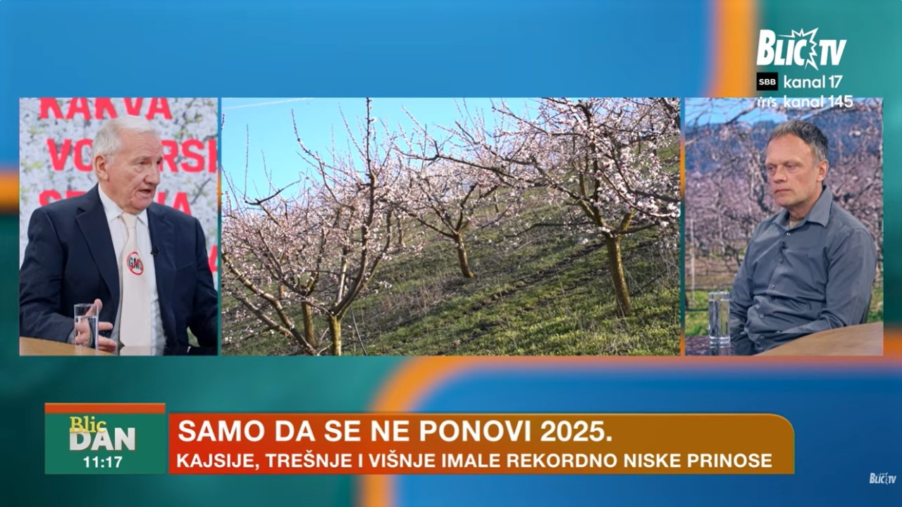 KAKVE CENE VOĆA OČEKUJEMO OVE GODINE? Evo od čega to zavisi i kakva sezona sledi