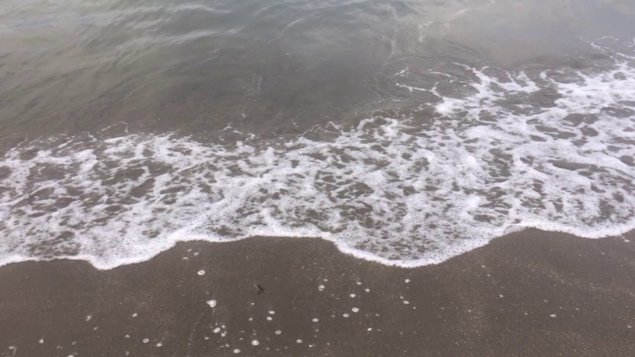 八重紅