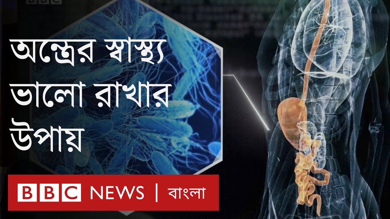 যে কয়েকটি উপায়ে  আপনার অন্ত্রের স্বাস্থ্য ভালো রাখতে পারবেন