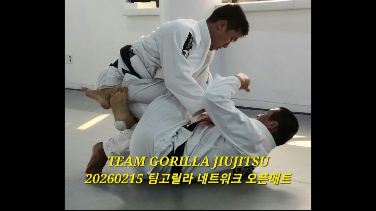 20260215 팀고릴라 네트워크 오픈매트 스파링 #jiujitsusparring #jiujitsuopenmat