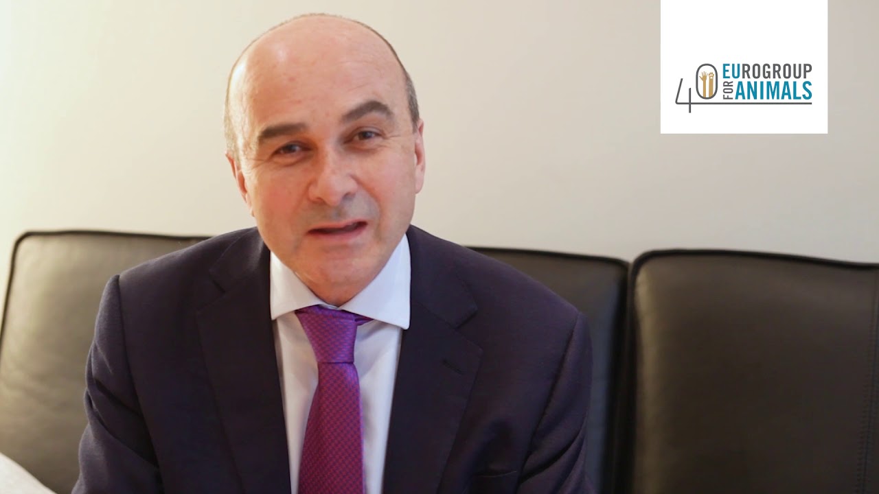40 Years of Eurogroup for Animals (Philip Lymbery, CIWF)