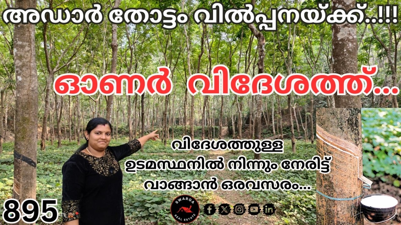 895:ഓണർ വിദേശത്ത്..!!! വിദേശത്തുള്ള ഉടമസ്ഥനിൽ നിന്നും നേരിട്ട് വാങ്ങാൻ ഒരവസരം..!!!