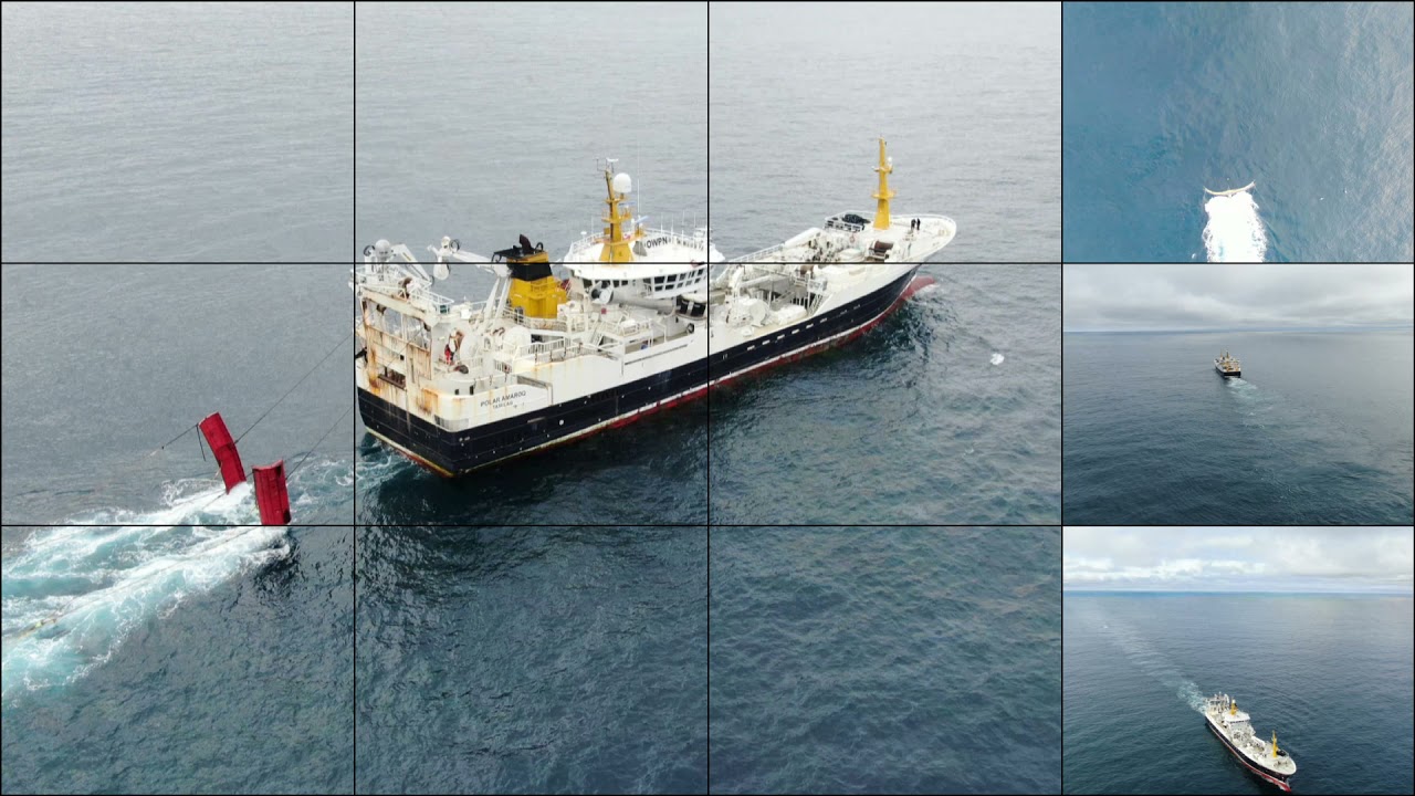 Polar Amaroq - drone footage