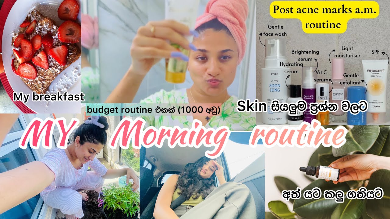 ලස්සන පැහැපත් ඉන්න මම පාවිච්චි කරන product🧖🏻‍♀️|රු.1000 වඩා අඩුවියදමින්🤩💕my morning routine🧿🫶🏻|