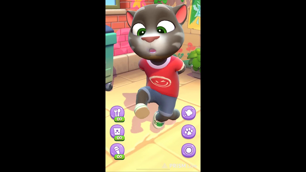 talking tom live