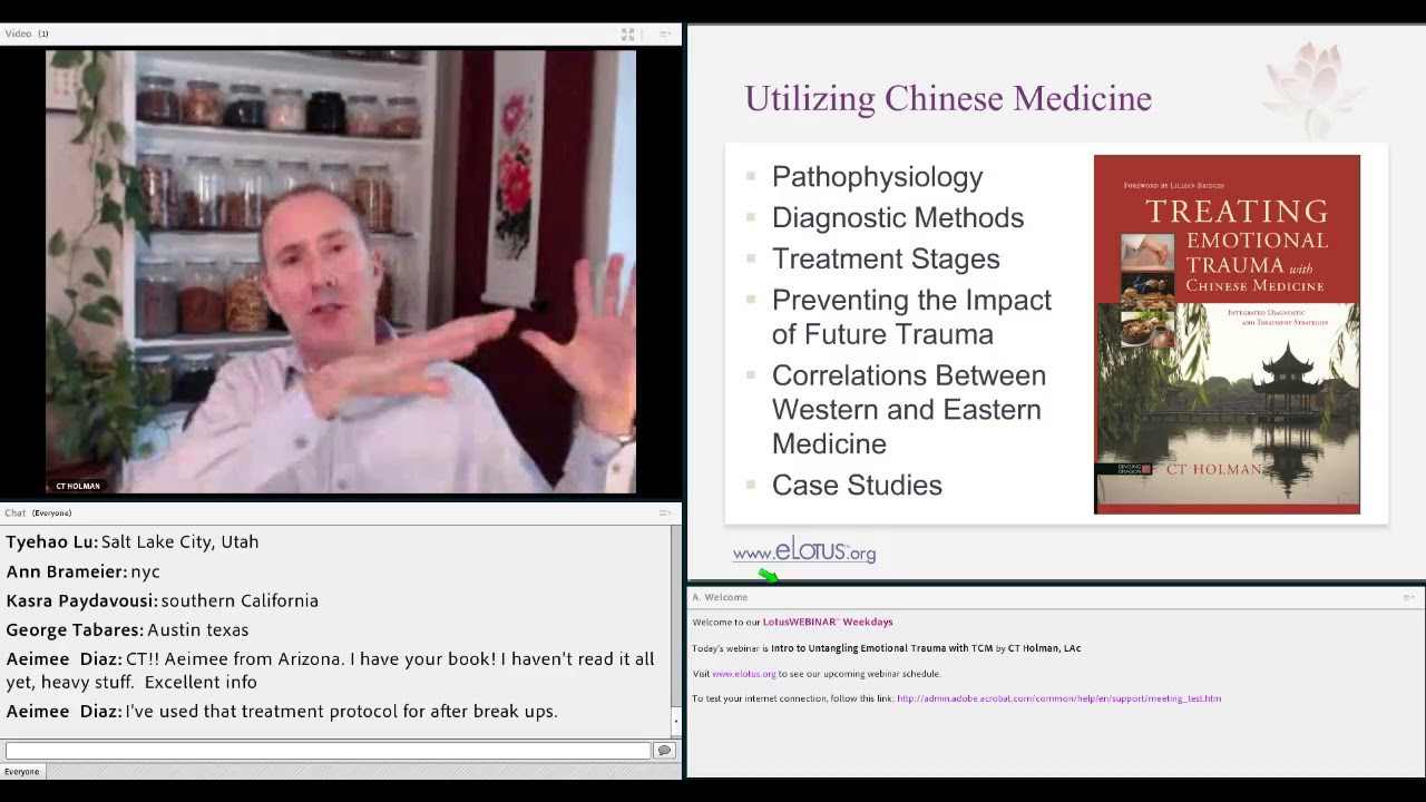 The Power of Chinese Medicine to Transform Emotional Trauma by CT Holman