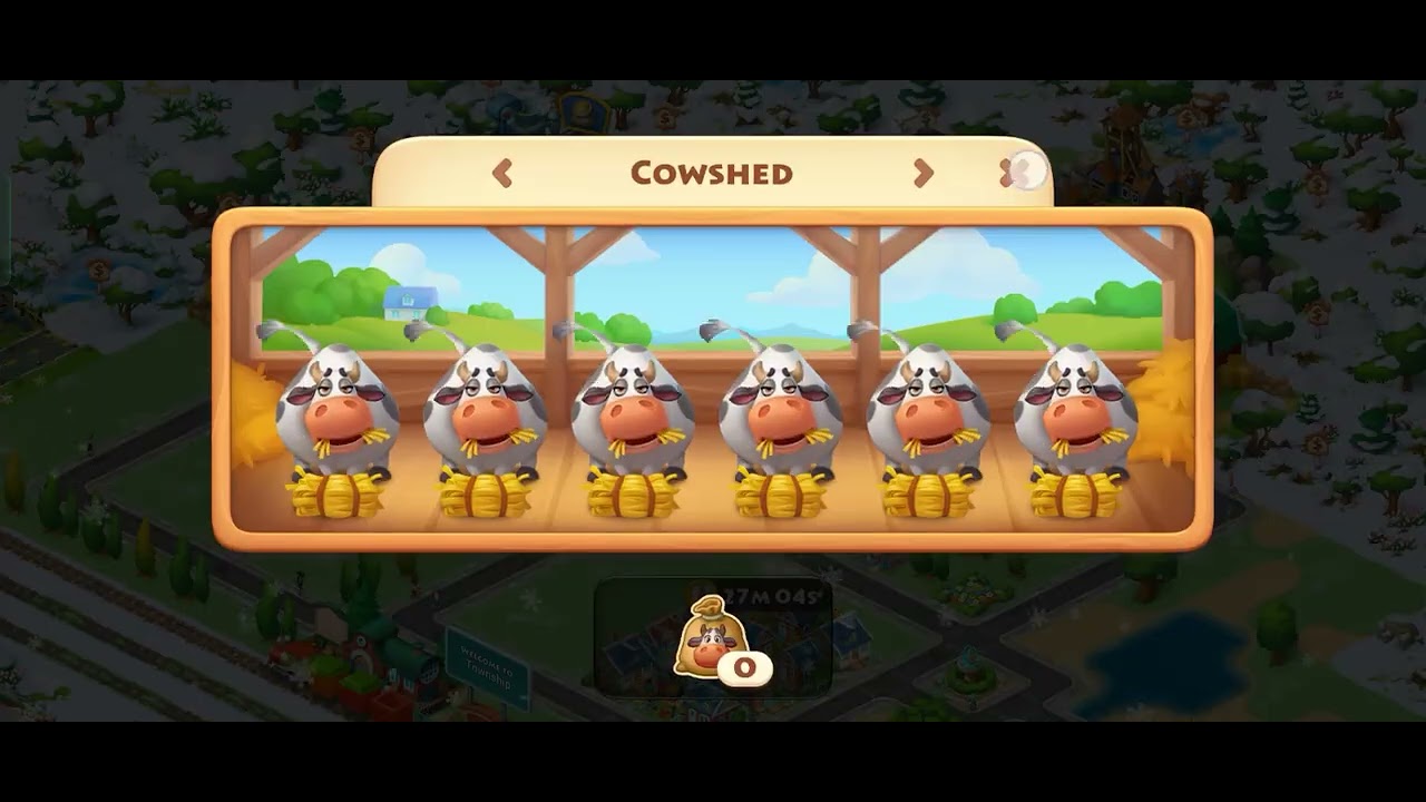 Township (3)