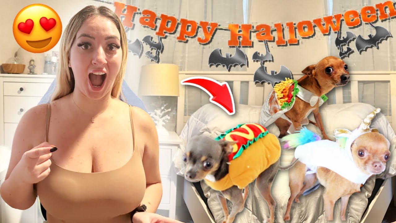 Our Dogs Have The BEST HALLOWEEN Costumes!!