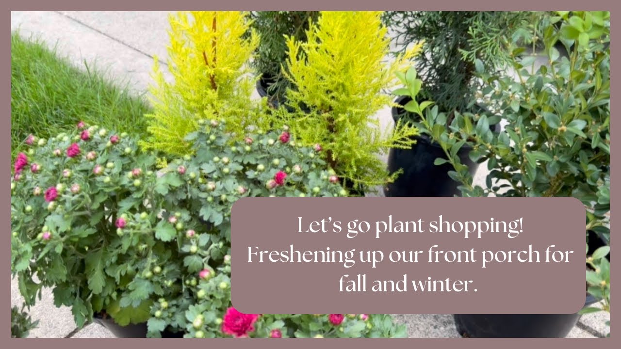 Refreshing Our Front Porch Pots for Fall & Winter | Plant Shopping & Seasonal Makeover