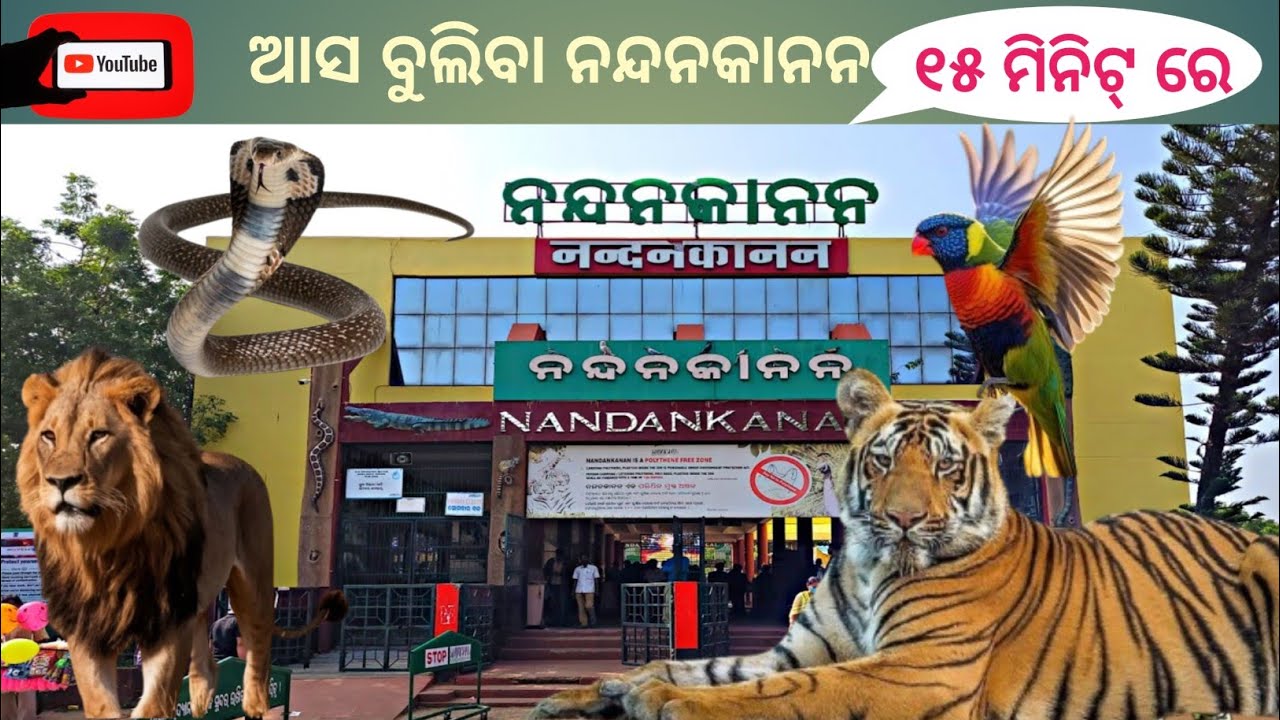 ଆସ ବୁଲିବା ନନ୍ଦନକାନନ#youtube #zoologicalpark #nandankananzoologicalpark #animals #birds #fish #snake