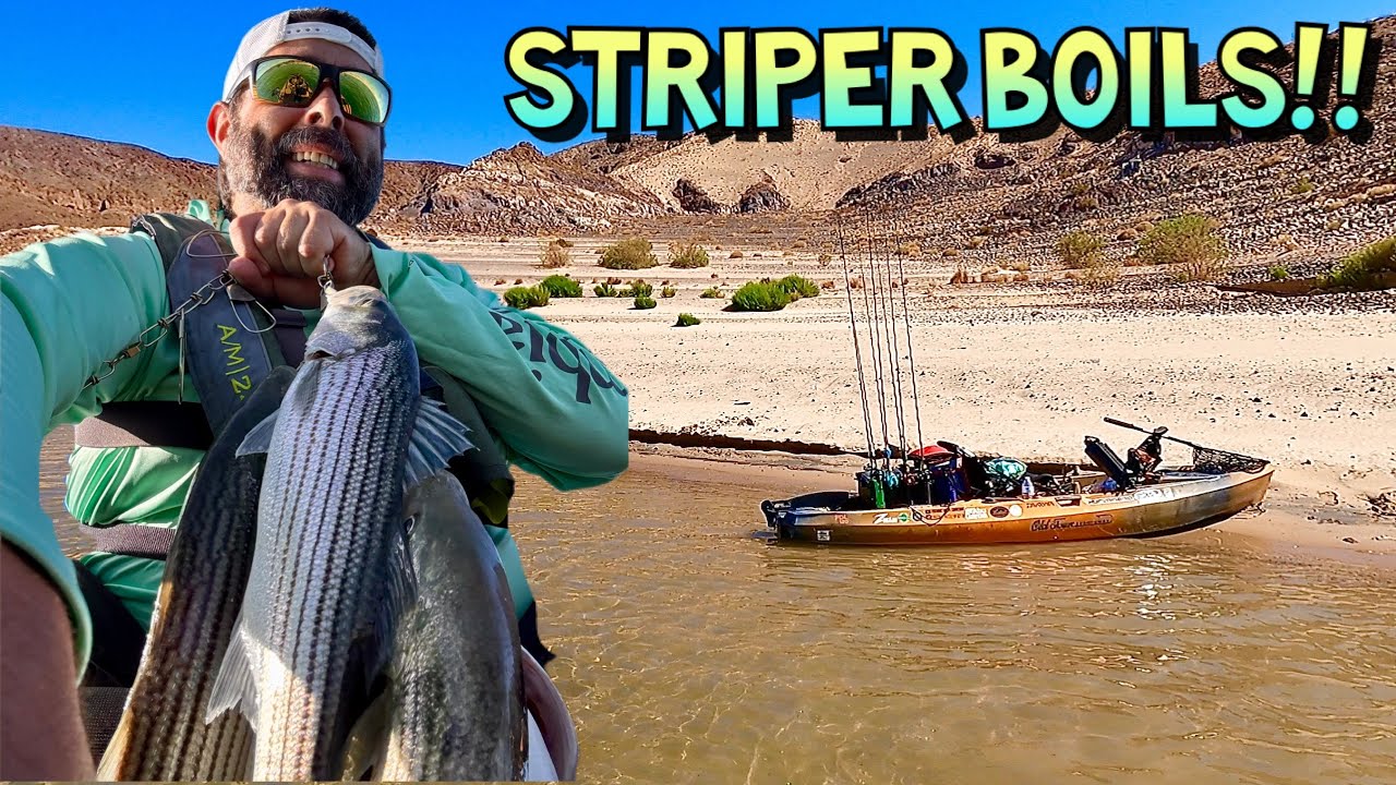 Kayak fishing Striped Bass!! CHASING BOILS!!
