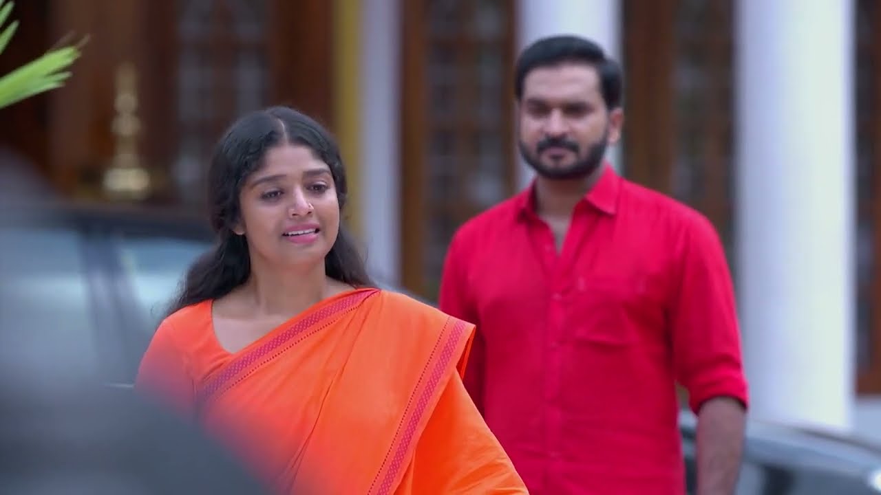 Chembarathi - Full Ep 290 - Kalyani Anand, Anand Krishnan, Thrichambarath - Zee Keralam