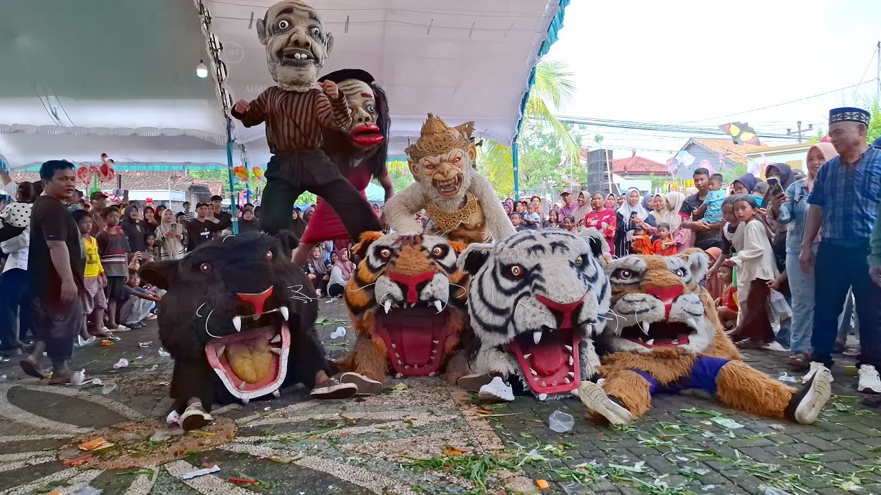 Live seru‼️Mbabar barongan macan new pandawa terbaru live bakalrejo guntur demak
