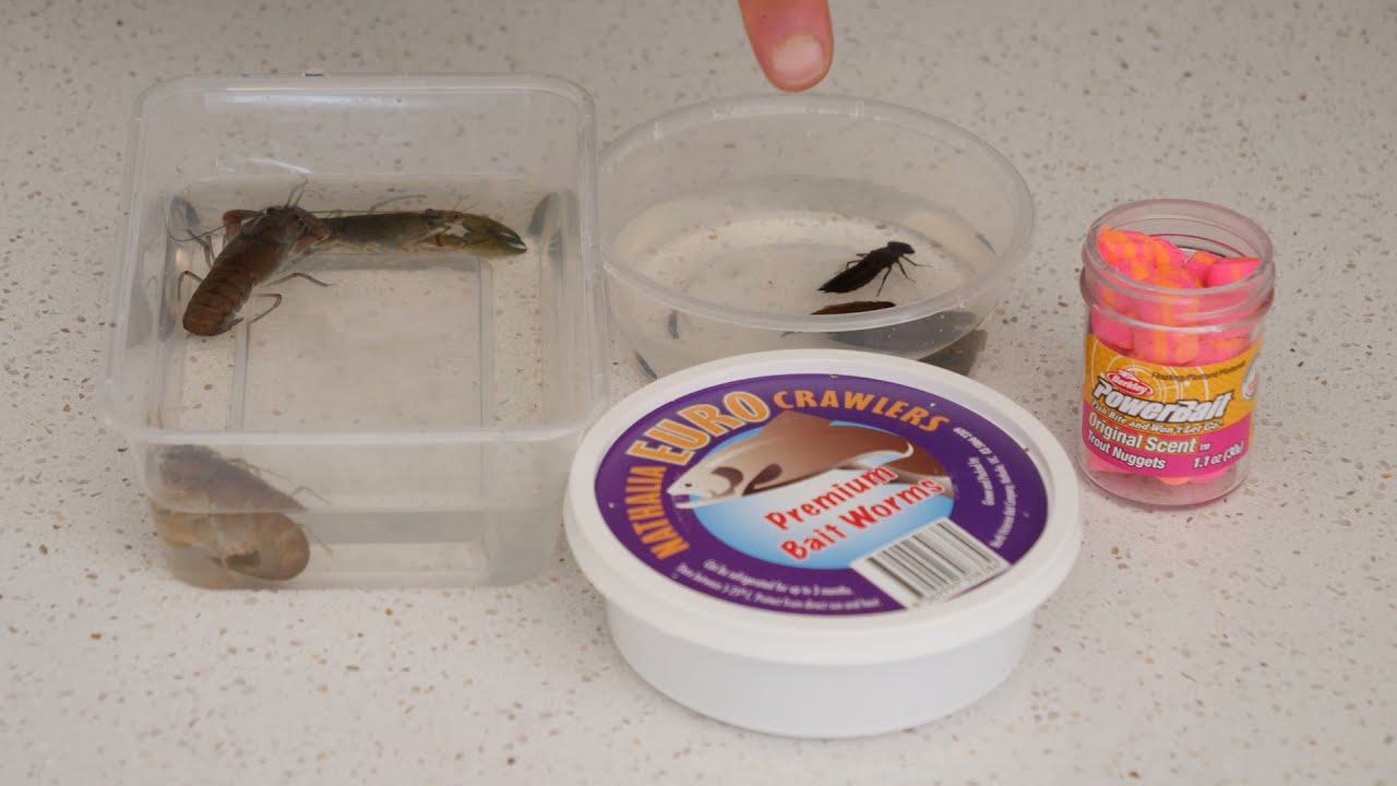 Freshwater Baits