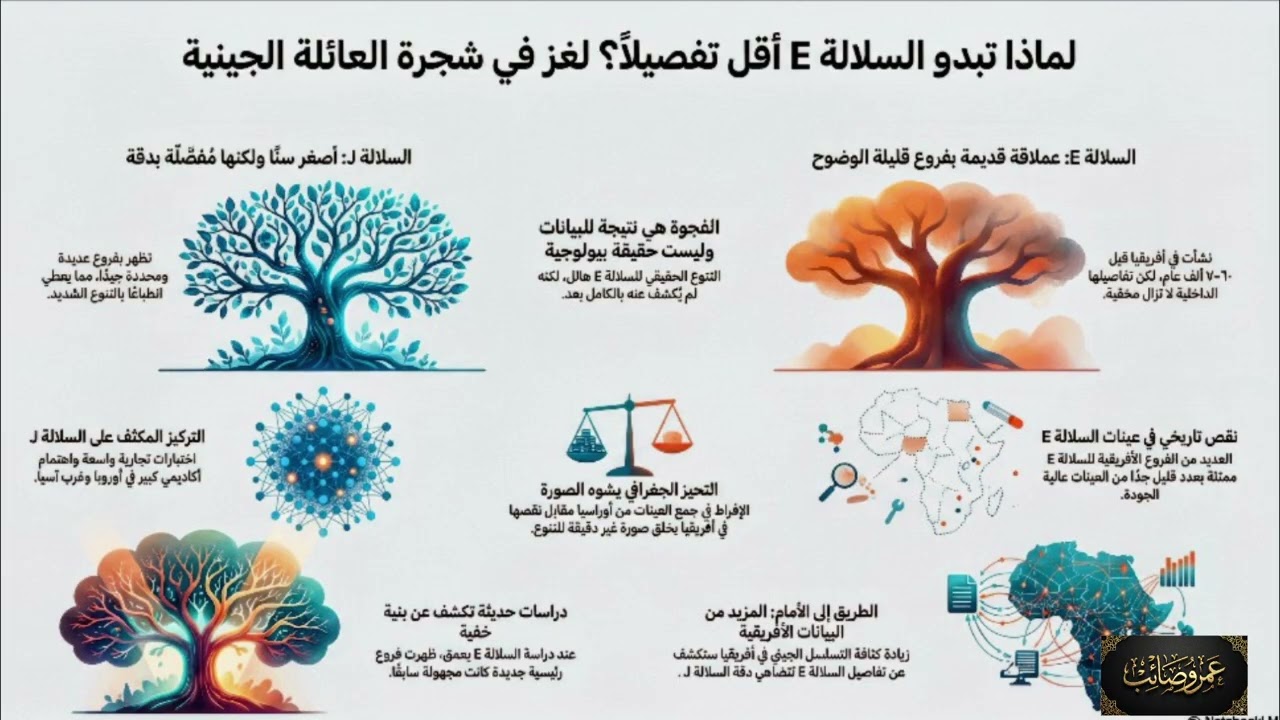 شجرة عائلتك أعمق مما تظن: القصة الحقيقية وراء 