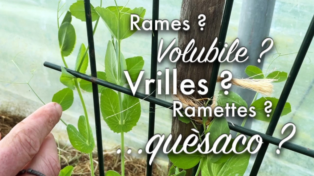 « Faire grimper des 