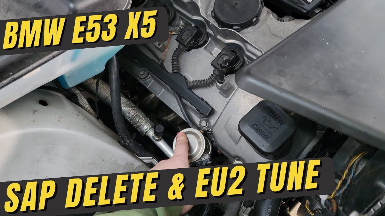 Secondary Air Pump Delete & EU2 Tune | E53 X5 M54