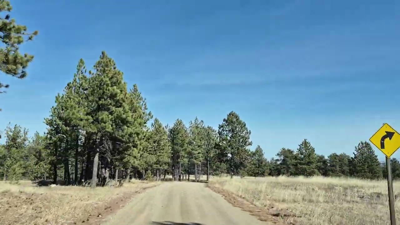 DRIVING TOUR on a wash board dirt road thru the mountains of the Medicine Bow National Forest in WYO