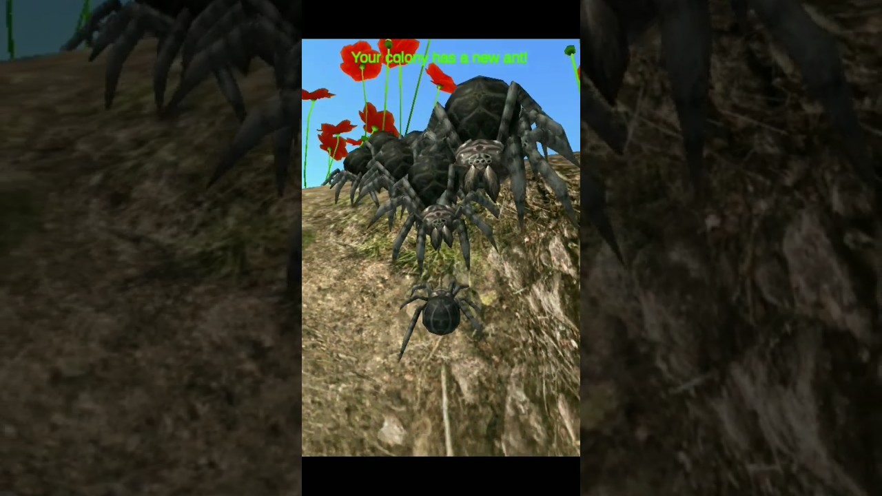 TARANTULA RAKSASA!! spider colony simulation #shorts